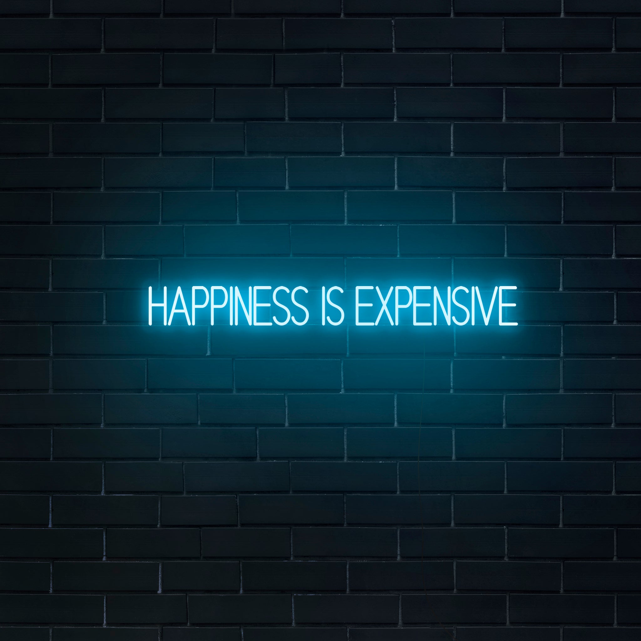 Happiness Expensive' Neon Sign