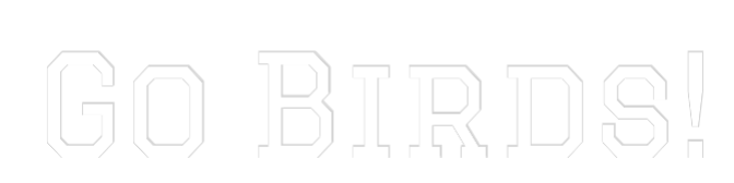 Your Custom AEG Nuwave Neon: Go Birds! - Nuwave Neon