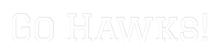 Your Custom AEG Nuwave Neon: Go Hawks! - Nuwave Neon