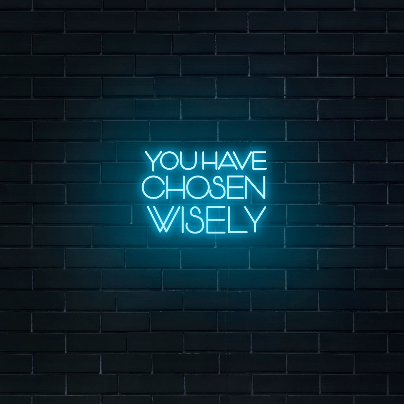 'You Have Chosen Wisely' Neon Sign - Nuwave Neon